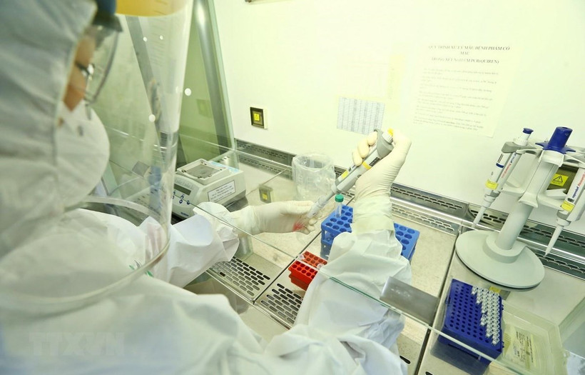 A medical worker handles samples for COVID-19 testing (Photo: VNA)