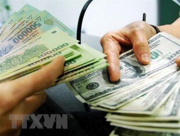 Reference exchange rate down on June 25 (Photo: VNA)