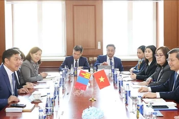 The talks between the Supreme People’s Court of Vietnam delegation and the Mongolian Chief Justice Ganzorig Damdin (Photo: VNA)