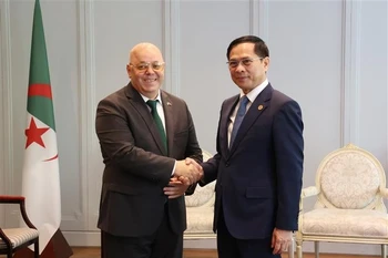 Deputy PM and FM Bui Thanh Son (R) welcomed Algeria’s Minister Mujahedeen and Rights Holders Laid Rebiga (Photo: VNA)