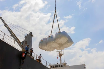 The quality of Vietnamese rice is evident as this product is now available in more than 150 countries and territories. (Photo: VNA)