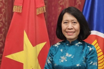 Vietnamese Ambassador to Argentina, Paraguay and Uruguay Ngo Minh Nguyet (Photo: VNA)
