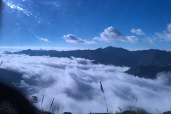 A view of Ta Xua cloud haven in Son La province (Photo: VNA)