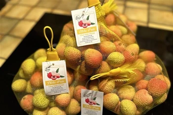 Hai Duong lychees are sold at a supermarket in Paris. (Photo: VNA)