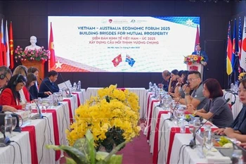 An overview of the forum (Photo; VNA)