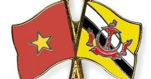 Congratulations to Brunei on 41st National Day