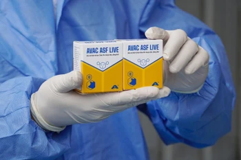 The African swine fever vaccine AVAC ASF LIVE (Photo: AVAC)