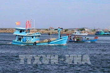 Illustrative image (Photo: VNA)