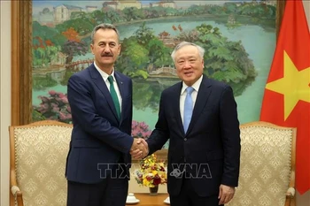 Deputy Prime Minister Nguyen Hoa Binh (R) and President of the Turkish Defence Industry Agency Haluk Görgün at their meeting in Hanoi on October 14. (Photo: VNA)