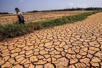 Japan proposes natural disaster prevention cooperation with ASEAN