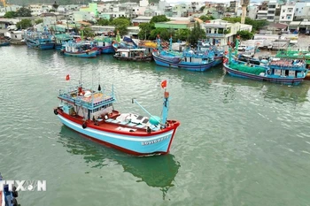 Vinh Long currently has 4,628 registered fishing vessels, 4,450 of which are licenced for fishing, accounting for 96.2%. (Illustrative image: VNA)