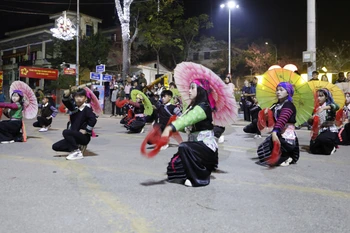 A street parade, one of the activities attracting visitors to the event. (Photo: VNA)