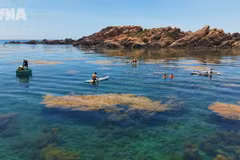 Nhon Hai balances marine tourism with coral reef conservation