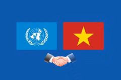 Vietnam makes active, proactive and responsible contributions to UN
