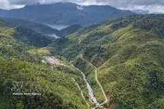 Da Nang eyes new growth from mountain and forest resources