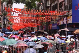 Hanoi residents eagerly watch rehearsal for A80 parade