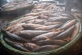 Quy Nhon fish-steaming village preserving the soul of the sea