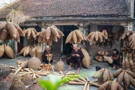 Thu Sy fish-trap weaving village – A guardian of rural Vietnamese heritage