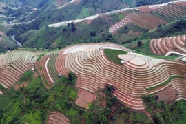 Northwestern terraced fields in the season of pouring water