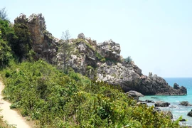 Vi Rong Cape – A wild and mysterious landscape in Binh Dinh province