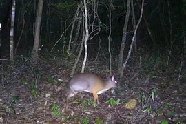 Ea So Nature Reserve announces biodiversity survey results