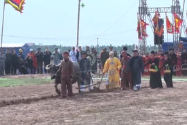 Exciting ploughing festival 2025 in Ha Nam