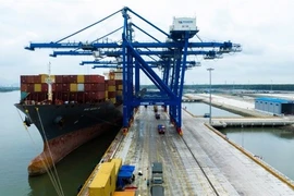 Dong Nai’s largest seaport welcomes first vessel