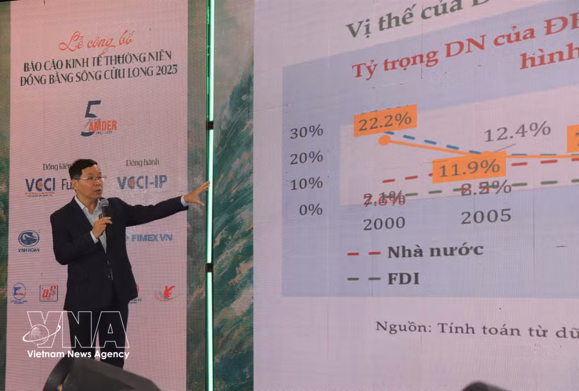 Dr Vu Thanh Tu Anh, head of the research team, provides information on the Mekong Delta Economic Report 2025. (Photo: VNA) 