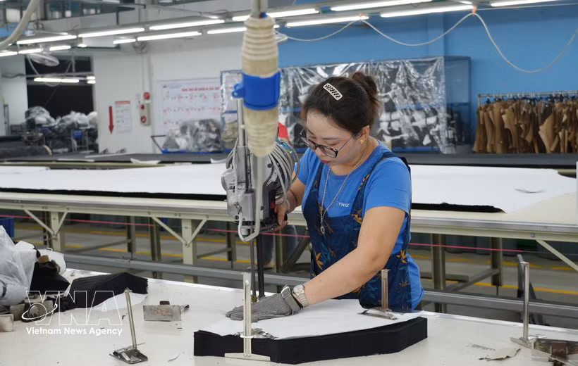 A worker at the factory of the TNG Investment and Trading Joint Stock Company in the Song Cong I Industrial Park, Thai Nguyen province. (Photo: VNA)