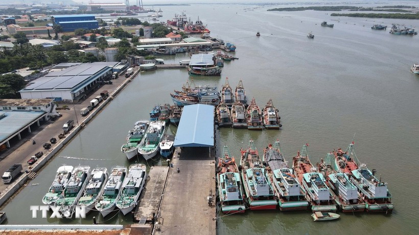 Vessels dock at Cat Lo fishing port in Phuoc Thang ward, Ho Chi Minh City. (Photo: VNA) 