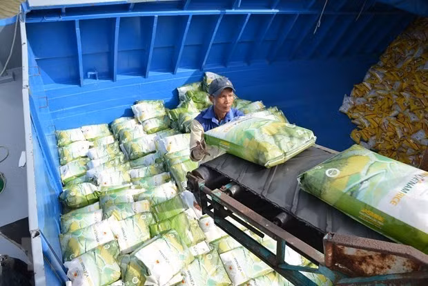 Vietnam aims to export 7 million tonnes of rice in 2026 (Photo: VNA)