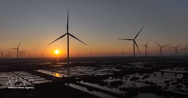 A wind farm in Ca Mau province (Photo: VNA)