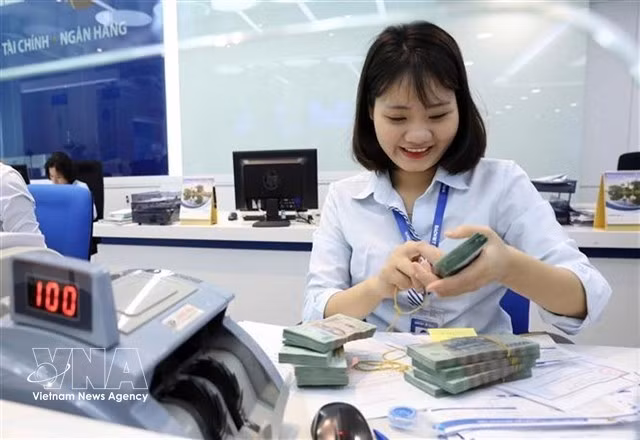 The State Bank of Vietnam sets the daily reference exchange rate at 25,038 VND/USD on March 2. (Photo: VNA) 