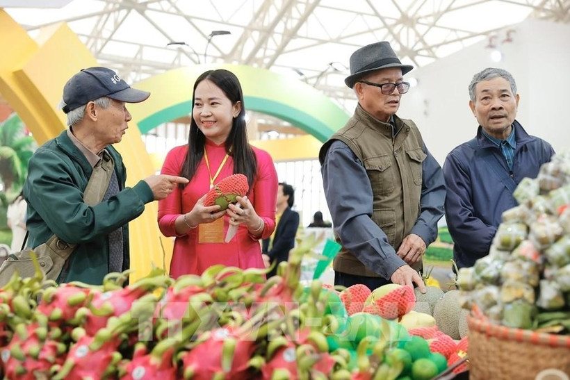 Spring Fair 2026: Hanoi adds six bus routes to serve residents and visitors