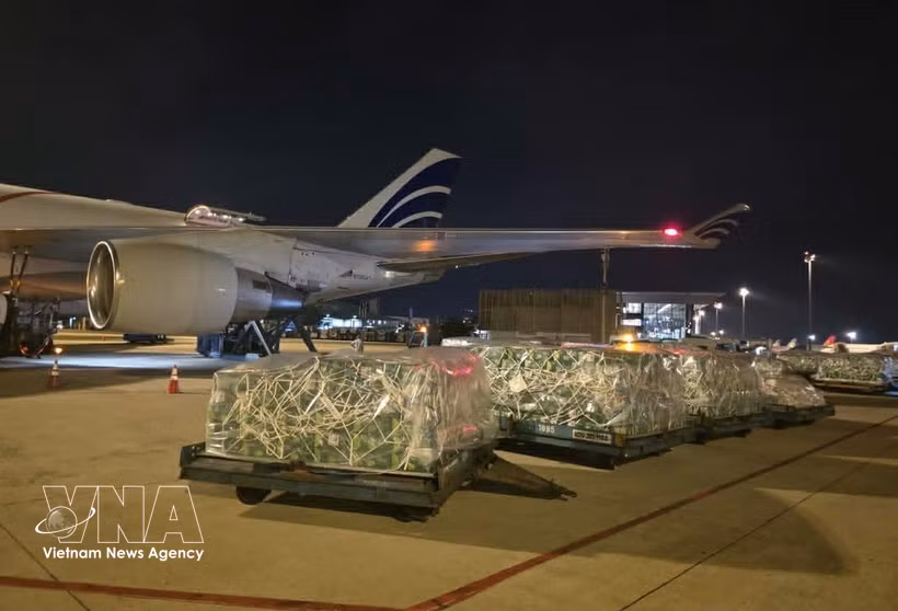 Vietnam's fresh fruits and vegetables exported to the UAE in April (Illustrative photo: VNA)