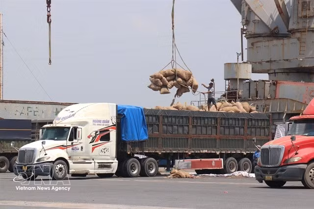 Saigon Port’s Hiep Phuoc terminal in Ho Chi Minh City has seen vessel schedules frequently adjusted in recent days as Middle East tensions disrupt global shipping routes. (Photo: VNA)