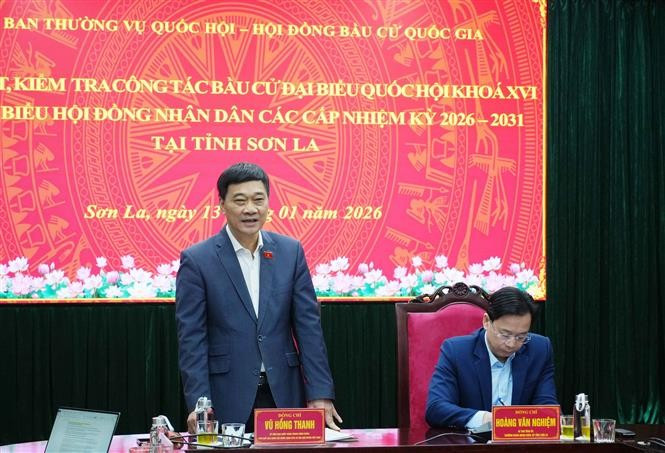 NA Vice Chairman Vu Hong Thanh speaks at the working session with the Election Committee of Son La province on January 13. (Photo: VNA)