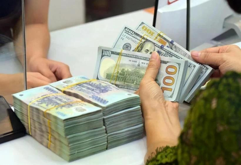 The State Bank of Vietnam sets the daily reference exchange rate at 25,132 VND/USD on January 19. (Photo: VNA)
