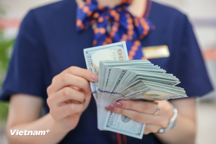 The daily reference exchange rate is set at 25,052 VND/USD on March 4. (Photo: VNA)