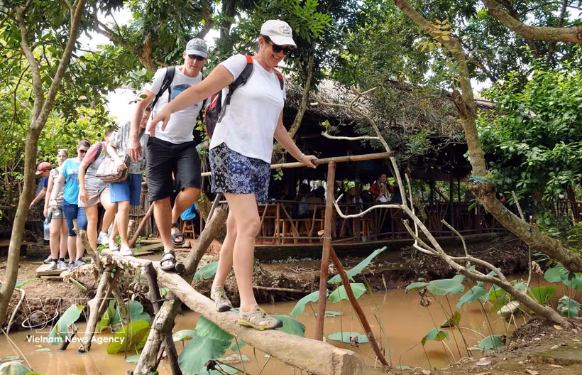 Foreign tourists enjoy crossing a handmade bridge in the Mekong Delta. (Photo: VNA) 
