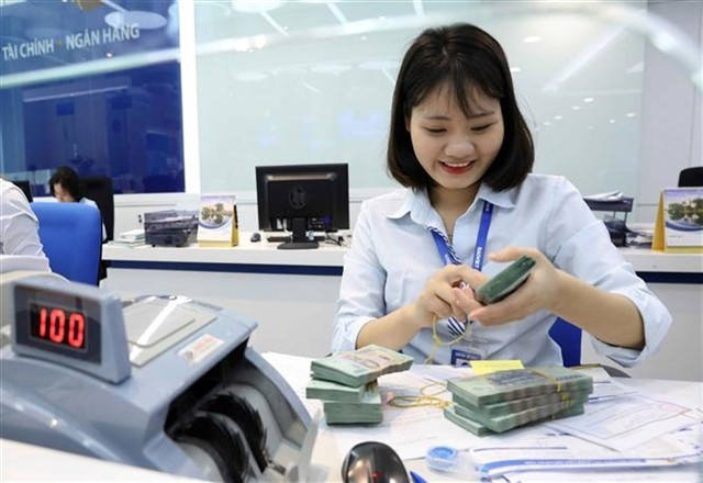 Bao Viet Bank's employee counts Vietnamese banknotes at a transaction counter in Hanoi. (Photo: VNA)