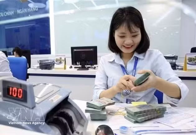 The State Bank of Vietnam maintains the daily reference exchange rate at 25,206 VND/USD on July 1. (Photo: VNA)