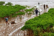Int’l Day for Biological Diversity May 22: Living in harmony with nature and sustainable development