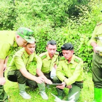 Forest rangers in Son La province apply technological devices and software to forest management, monitoring, and protection. (Photo: nhandan.vn)