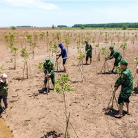 Vietnam has consistently implemented proactive solutions to respond to climate change. (Photo: Nguyen Xuan Truong)