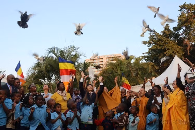Doves released in a peace ritual during the 2019 Vesak celebration in Mozambique, organised by the Vietnam Buddhist Association in coordination with the Vietnamese Embassy in Mozambique (Maputo, May 29, 2019). (Photo: VNA)