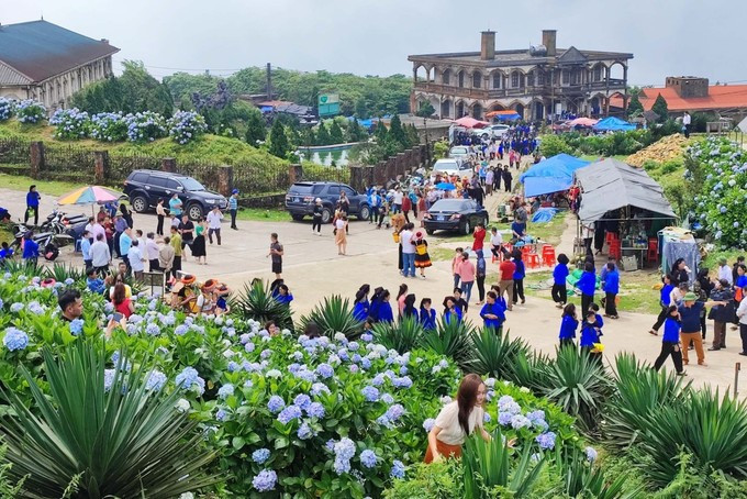 Visitors experience the hydrangea season on Mau Son Mountain (Photo: VNA)