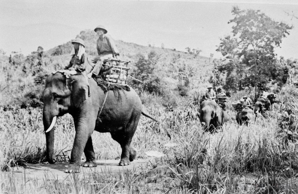 During the Central Highlands campaign, the Vietnamese forces not only build a combined-arms combat capability but also make thorough logistical and technical preparations to support the operation. In the photo: Soldiers from Gia Lai deliver supplies to the battlefield. (Photo: VNA)