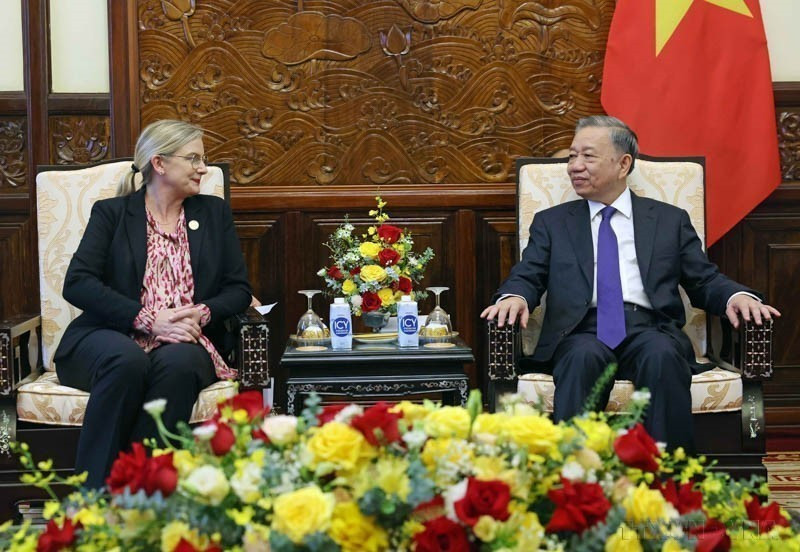 State President To Lam receives Swedish Ambassador Ann Mawe as she bids farewell at the end of her term in Vietnam (Hanoi, June 18, 2024). (Photo: VNA)