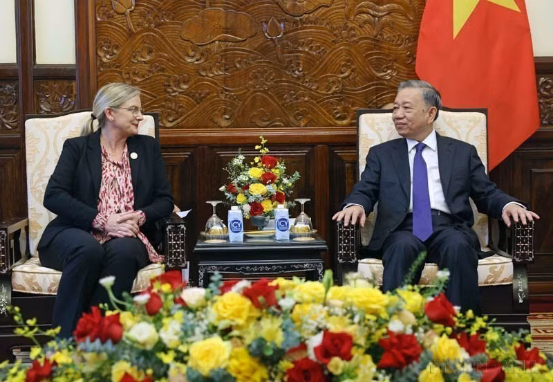 State President To Lam receives Swedish Ambassador Ann Mawe as she bids farewell at the end of her term in Vietnam (Hanoi, June 18, 2024). (Photo: VNA)